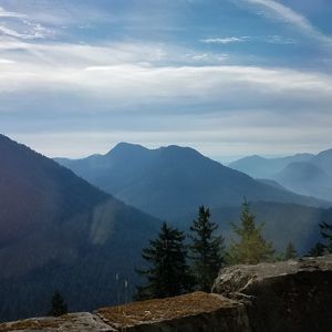 Meet your Posher, Joanna